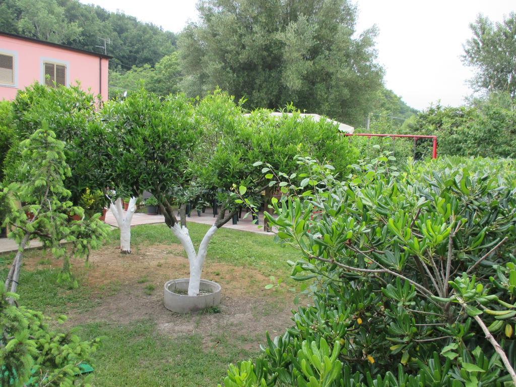 Palinuro Casa Vacanze "Donna Antonia" 外观 照片